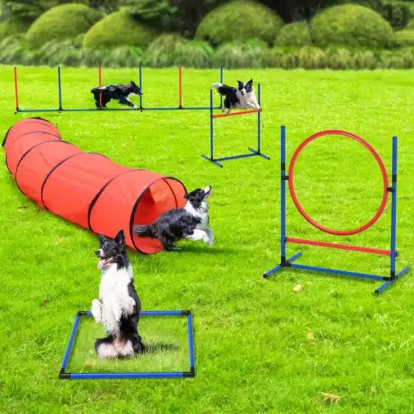 Premium Dog Agility Equipment Set: Flirt Pole, Agility Tunnel, Jumps, Weave Poles & More for Active Play