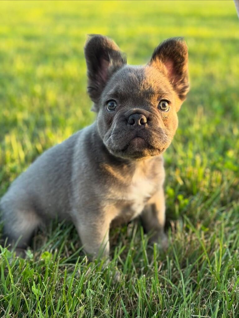 0e392f12-f0e9-43f8-9481-144a062f0fd2