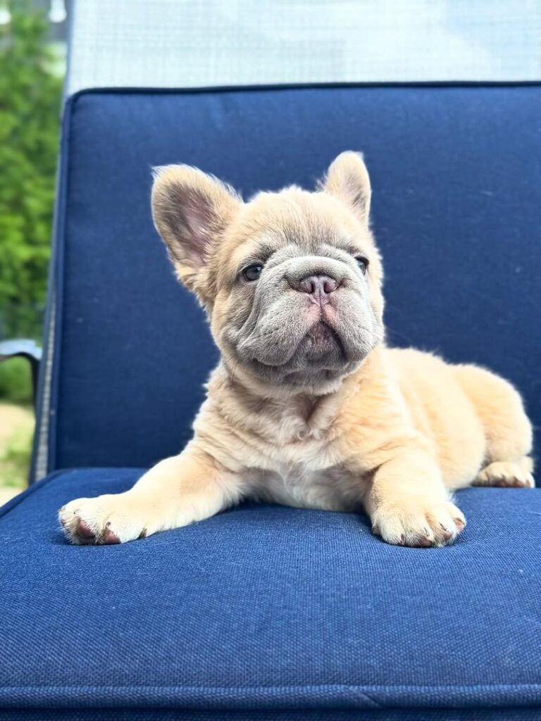 104ce4a8-44b1-4320-8f75-ac444e16e5e6