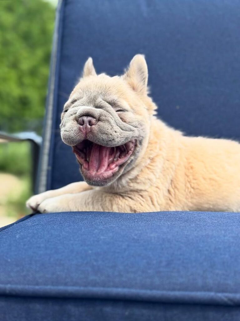 12c6e265-63c0-4971-9ad5-902ef8d04ee5