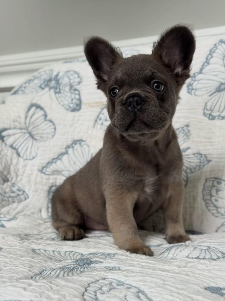 2297beb6-bc0f-4398-a334-34877d9c3691