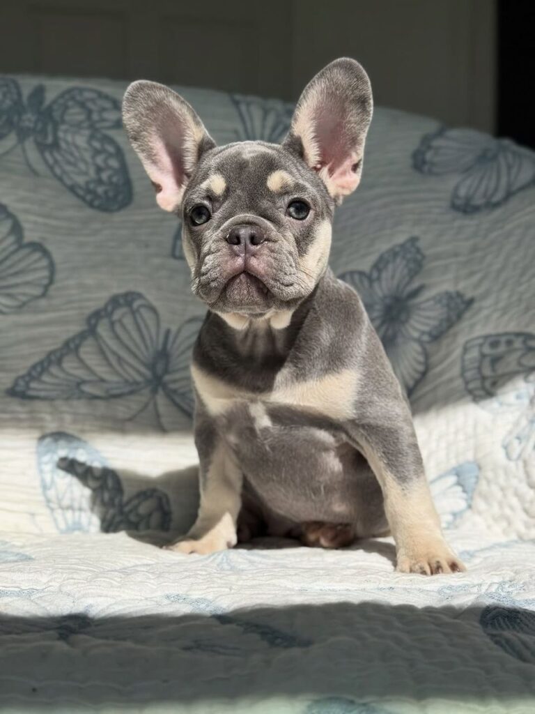 24e9003b-6633-4ba0-80ef-78512e89844b