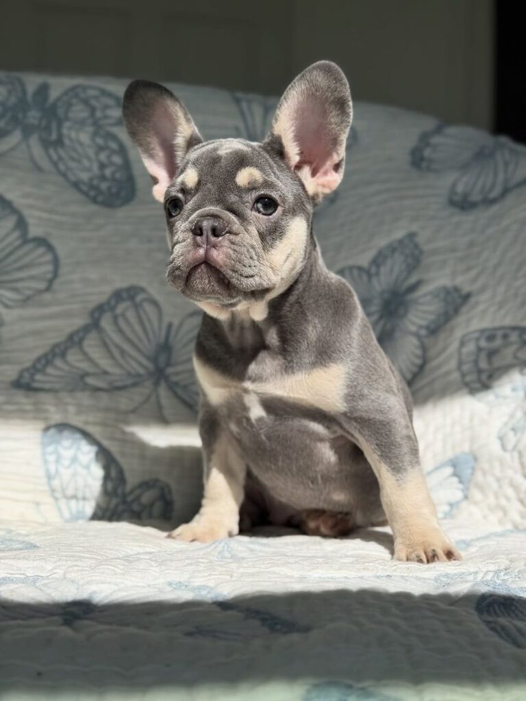 29d9f674-8a49-4731-8375-986599aa3623