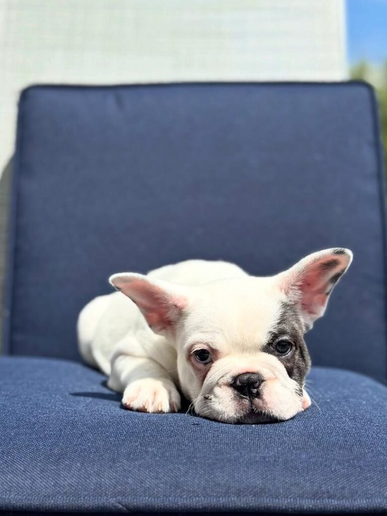 29eeccf3-6434-4ed6-8780-56f0aa44ed30