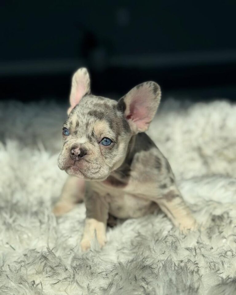 51b36b55-48f6-47ca-9e32-1c888ed5e8b1