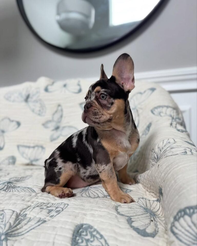 62228593-2fba-48ef-8029-335549f7b345