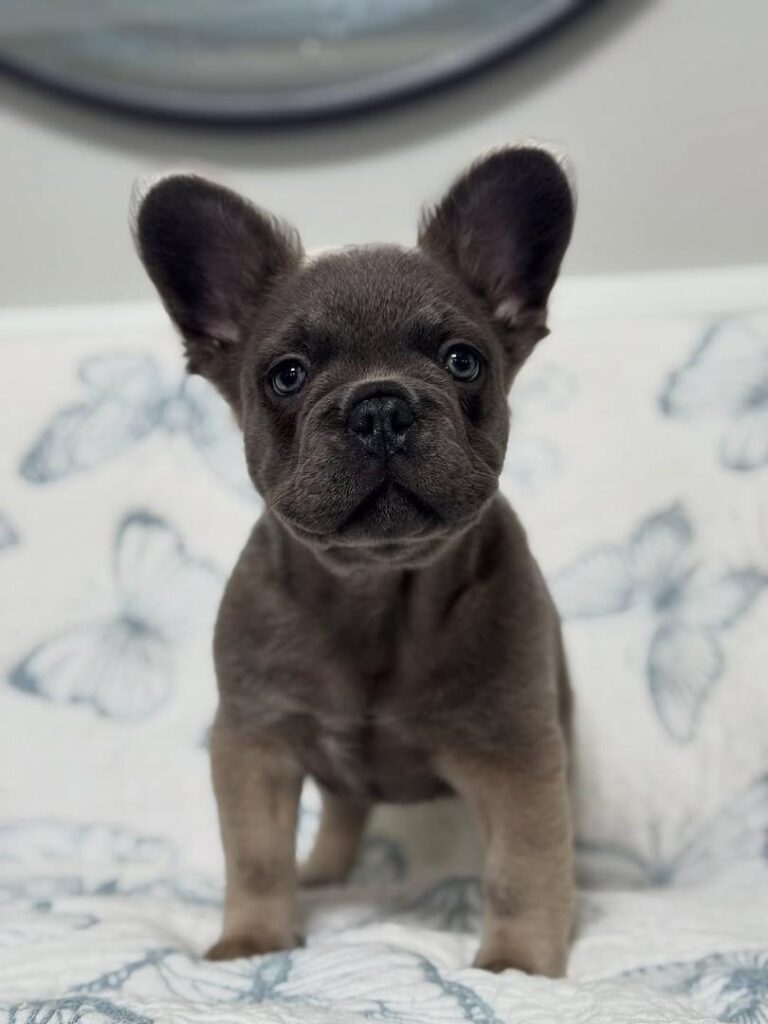 7601b284-cd4d-4cb4-9618-06b04dd06d82