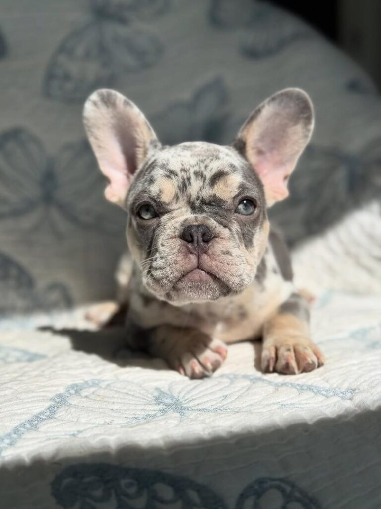 7b974dbb-b987-4de1-8035-ea2508f0f502