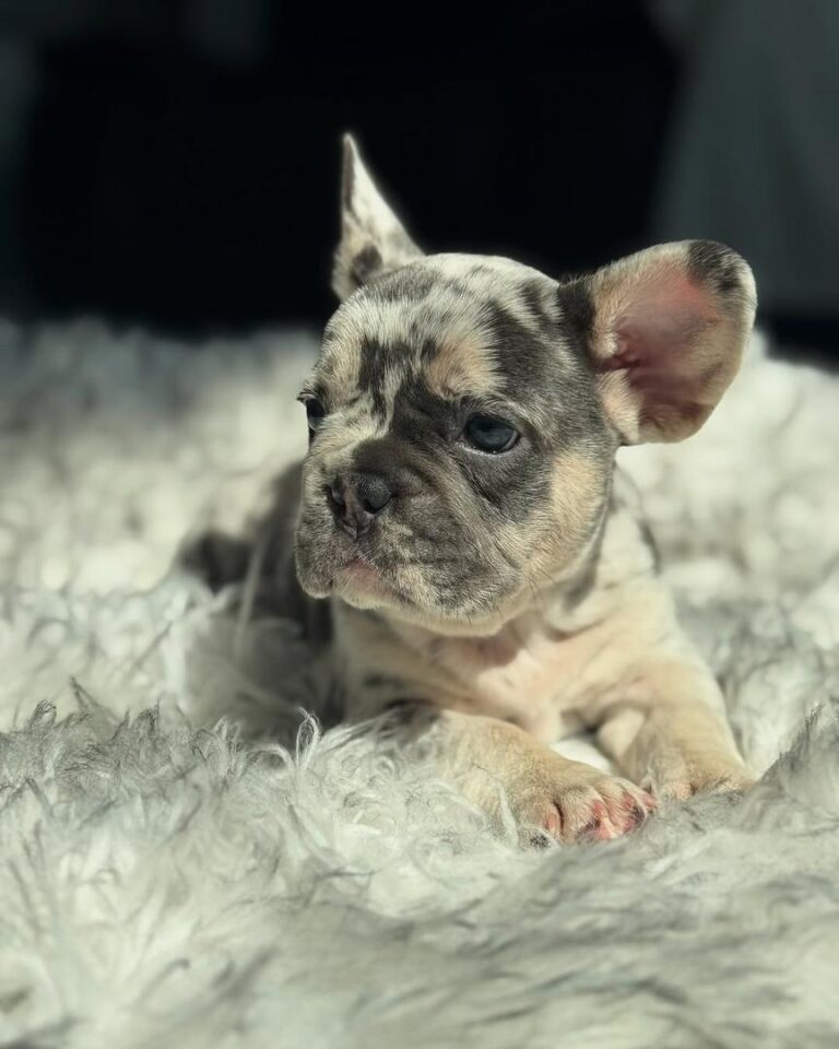 8797ef97-56a5-4fdc-8cfb-079d4da01e67