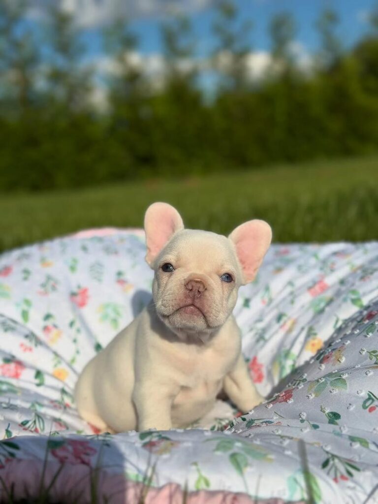 8e24645e-1477-4d30-beca-0c23107781fc