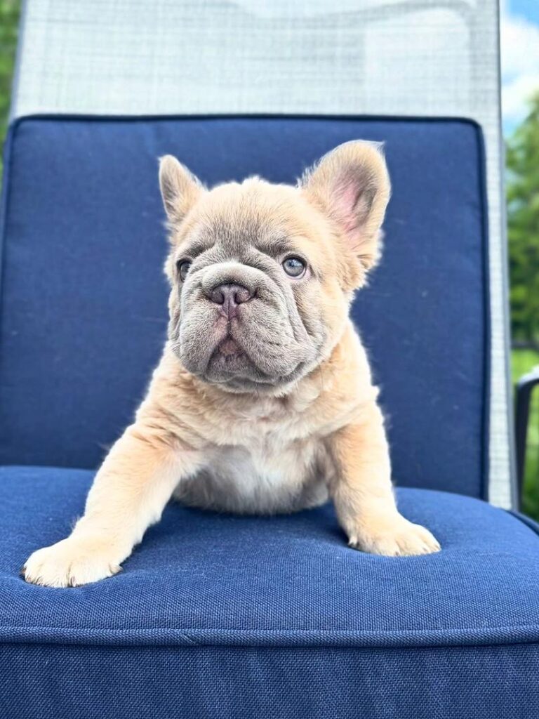 94b5fa90-0fb6-4d1b-a4c7-461fbb10600c