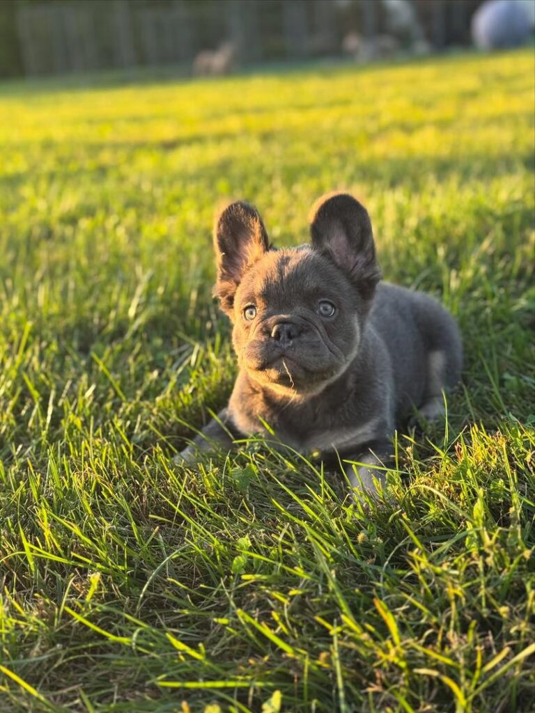 95c42f59-790a-433d-b888-11387627dc66