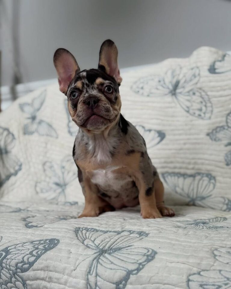 96c7e6f6-2342-4f8b-9b45-bfd25a20a8bd