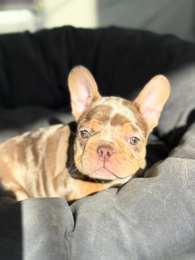 WhatsApp Image 2025-12-05 at 11.45.02 PM (2)