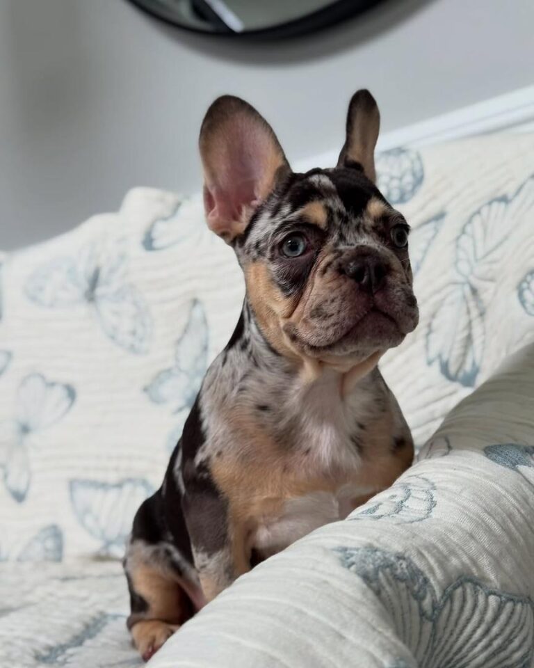 a2c09097-d505-410a-9ee7-7df51492f3aa