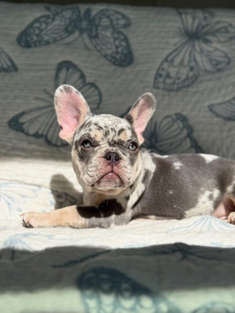 ab76dd08-150e-4b50-b267-4924e9edb2f8