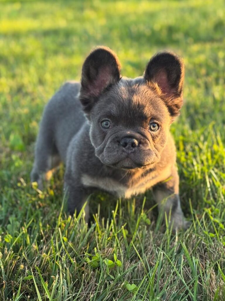 b4aeb4dd-28c0-4df8-a234-8cfc72ca59f4