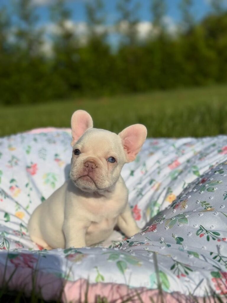 b50d52d7-337f-4332-aaee-9b485091a87b