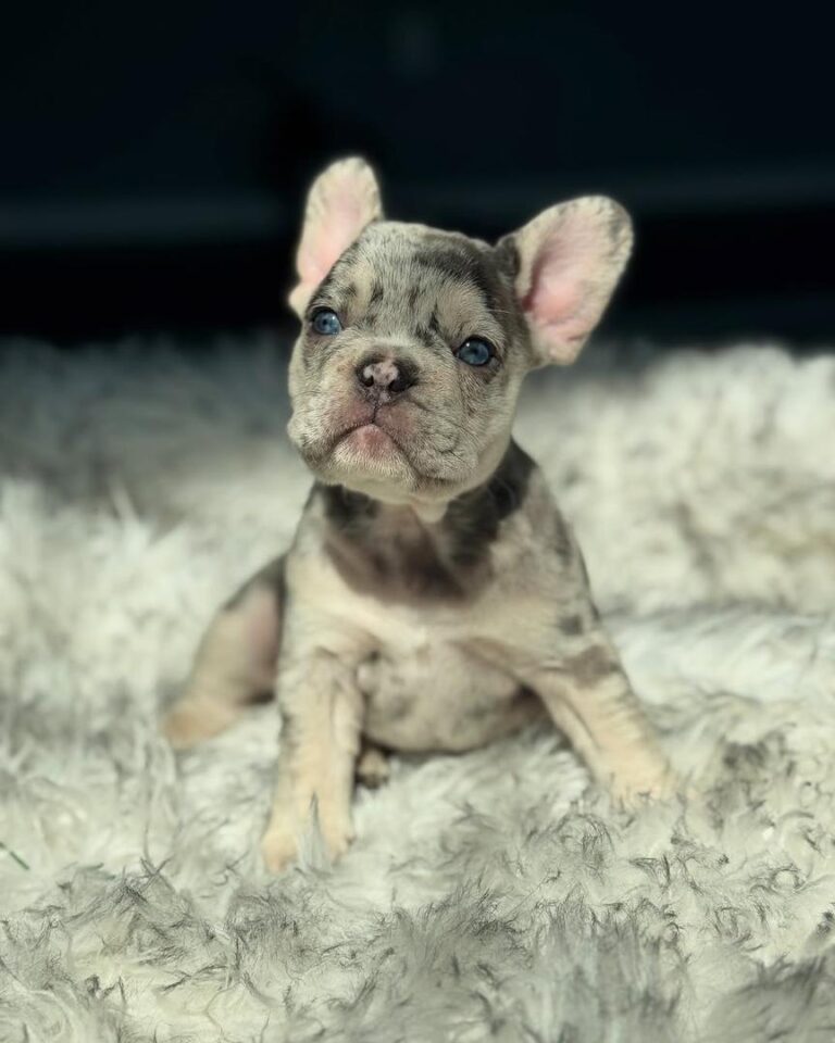 c26563e1-68b1-4f00-8c81-4ac0fd09d838