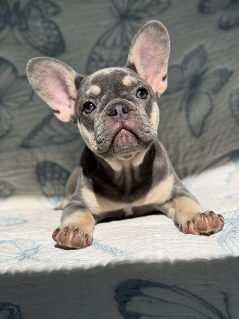 ce921084-b8f6-48c2-ba24-0665c0a1c695