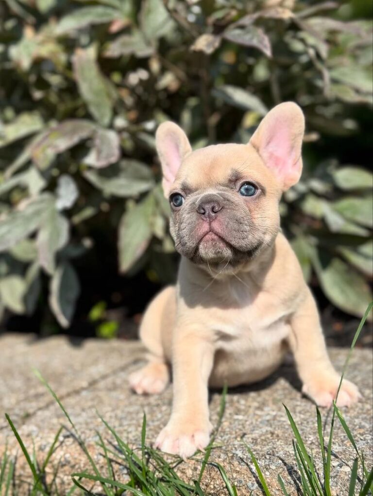 e046373c-74f5-47ca-91d0-3443bc53578c