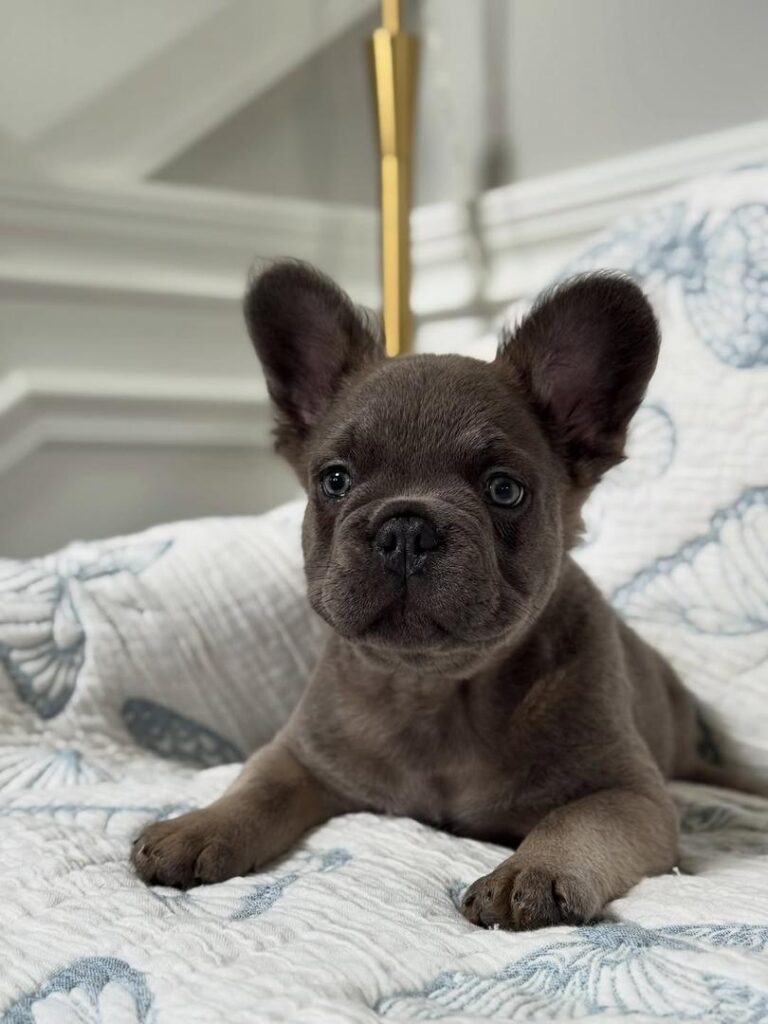 ebbe2a24-c7c8-4548-b65c-f0be9e0c3972