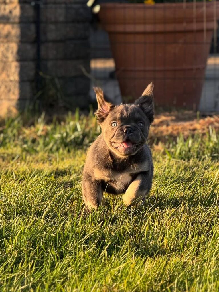 ff99d449-4c3d-4a91-9ac8-72366ef67041